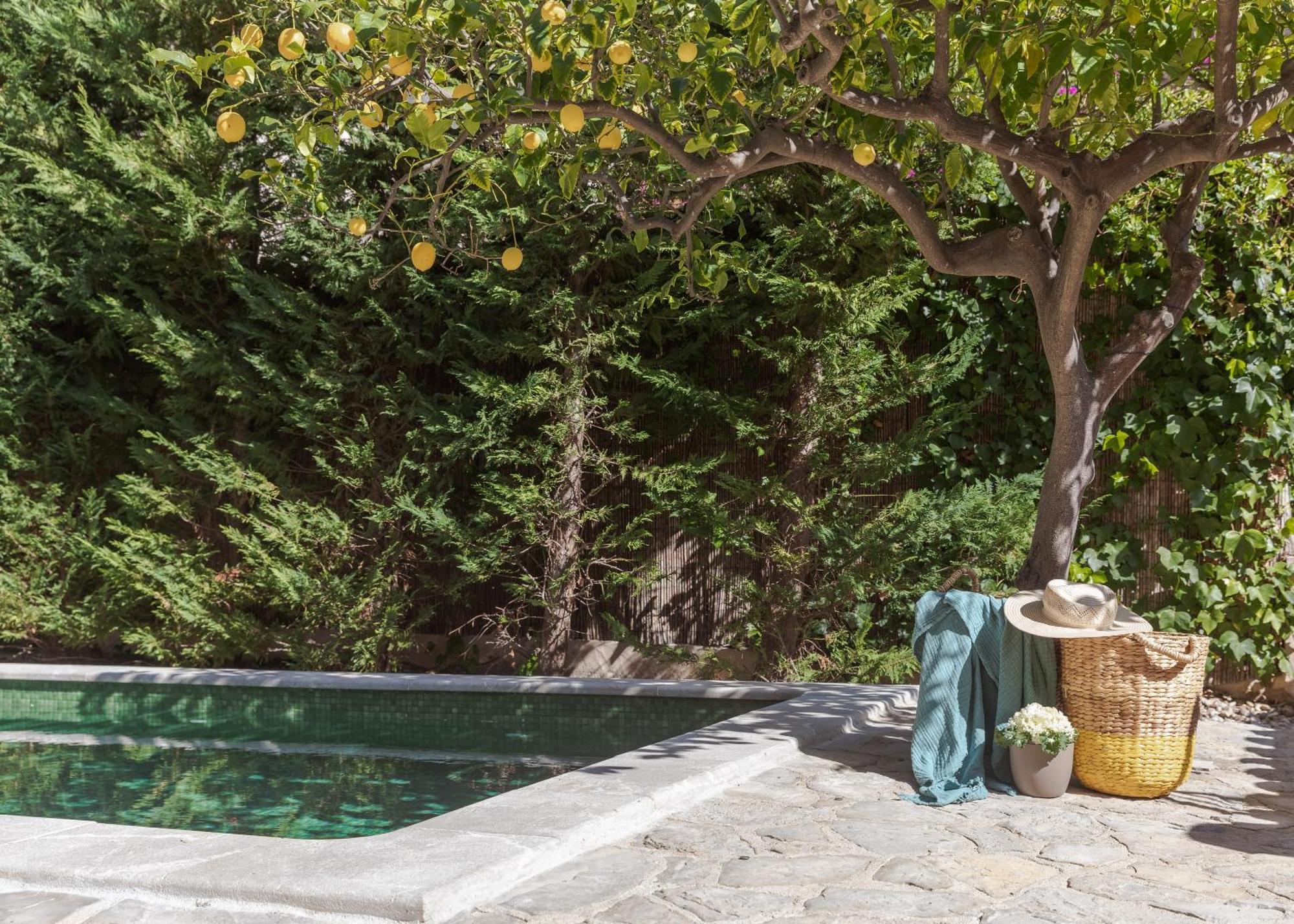 Casa de vacances Palou *
